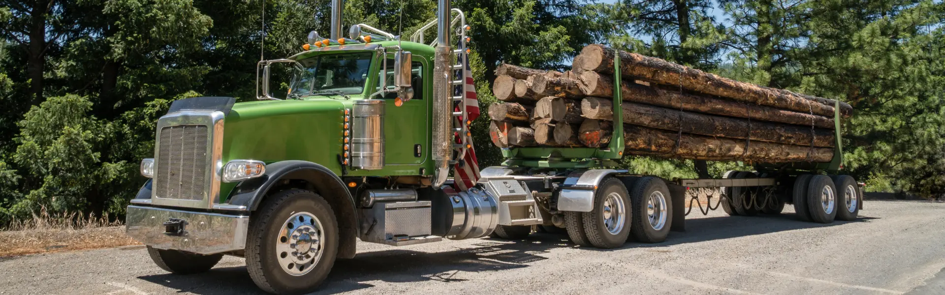 Logging truck with chained load of logs
