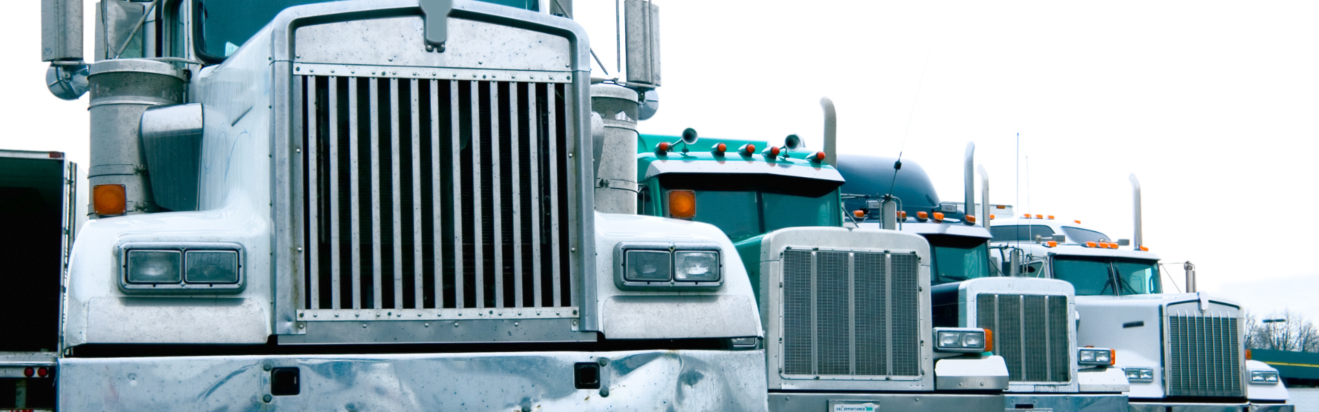 line of semi trucks
