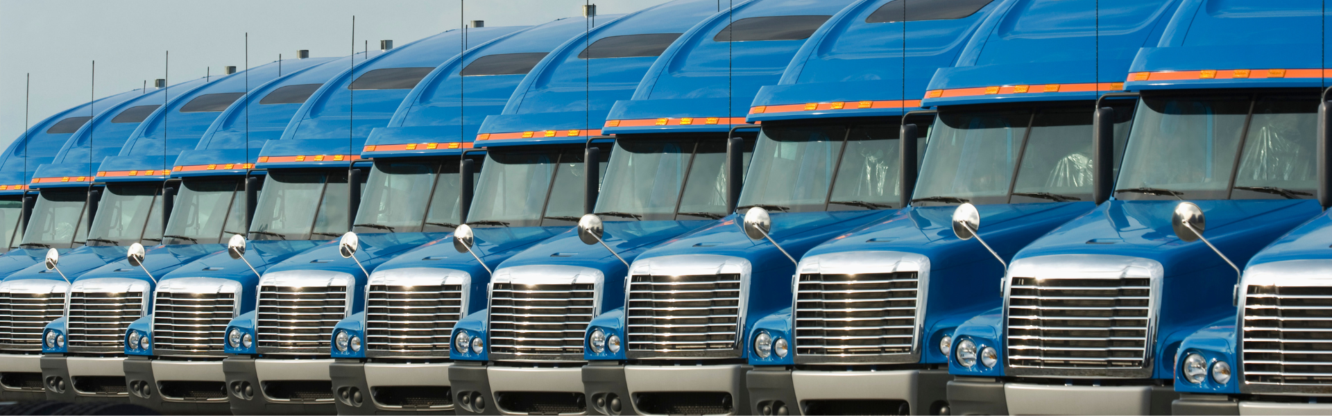 line of blue semi trucks