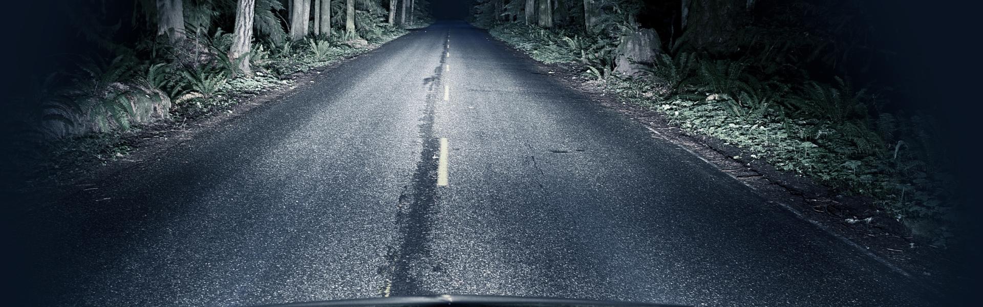 spooky highway at night