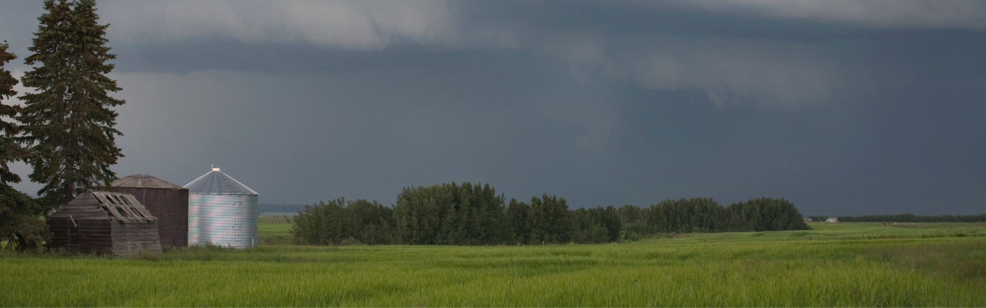 summer storm