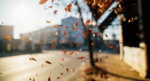 From Shorter Days to Slick Roads: Truck Drivers Talk Fall Prep