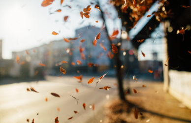 Truck drivers share how they prepare for fall, including changing tire pressure, slick roads, shorter days, wildlife, and early winter weather.