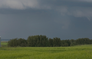 summer storm
