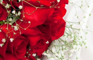 red roses with baby's breath